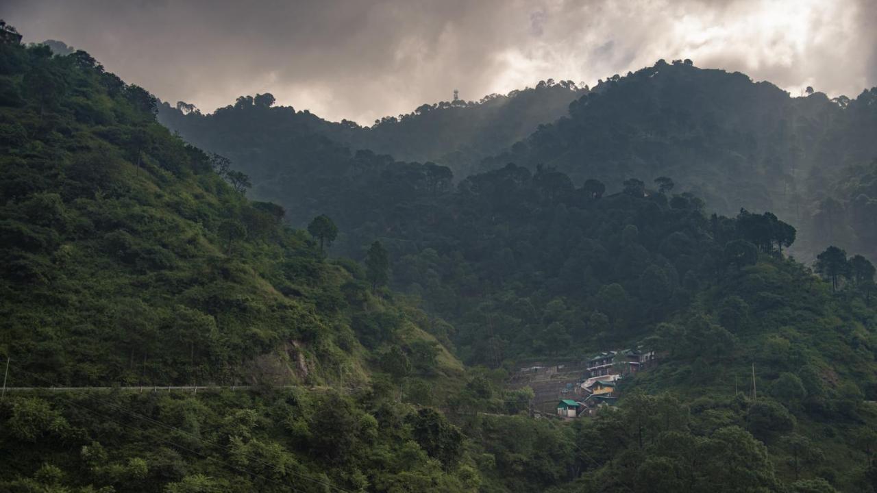 Safarmaina Resort Kasauli Eksteriør billede
