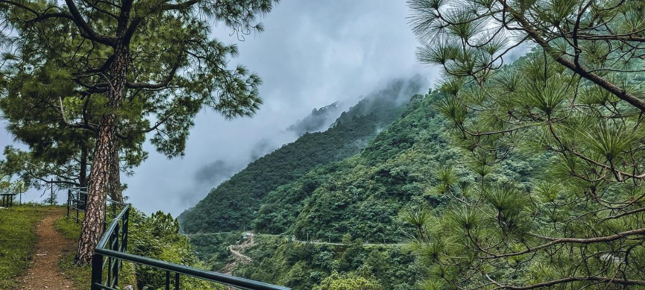 Safarmaina Resort Kasauli Eksteriør billede