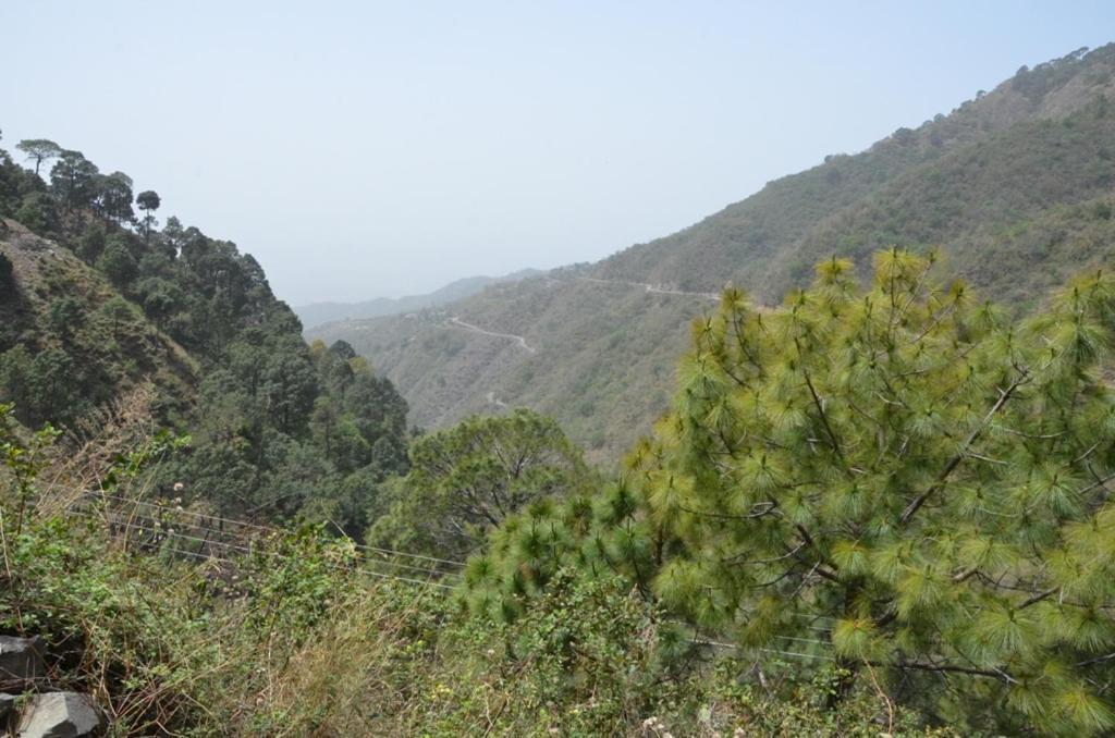 Safarmaina Resort Kasauli Eksteriør billede