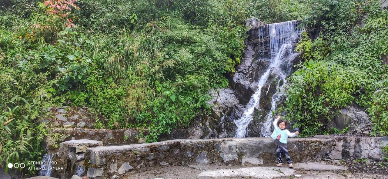 Safarmaina Resort Kasauli Eksteriør billede