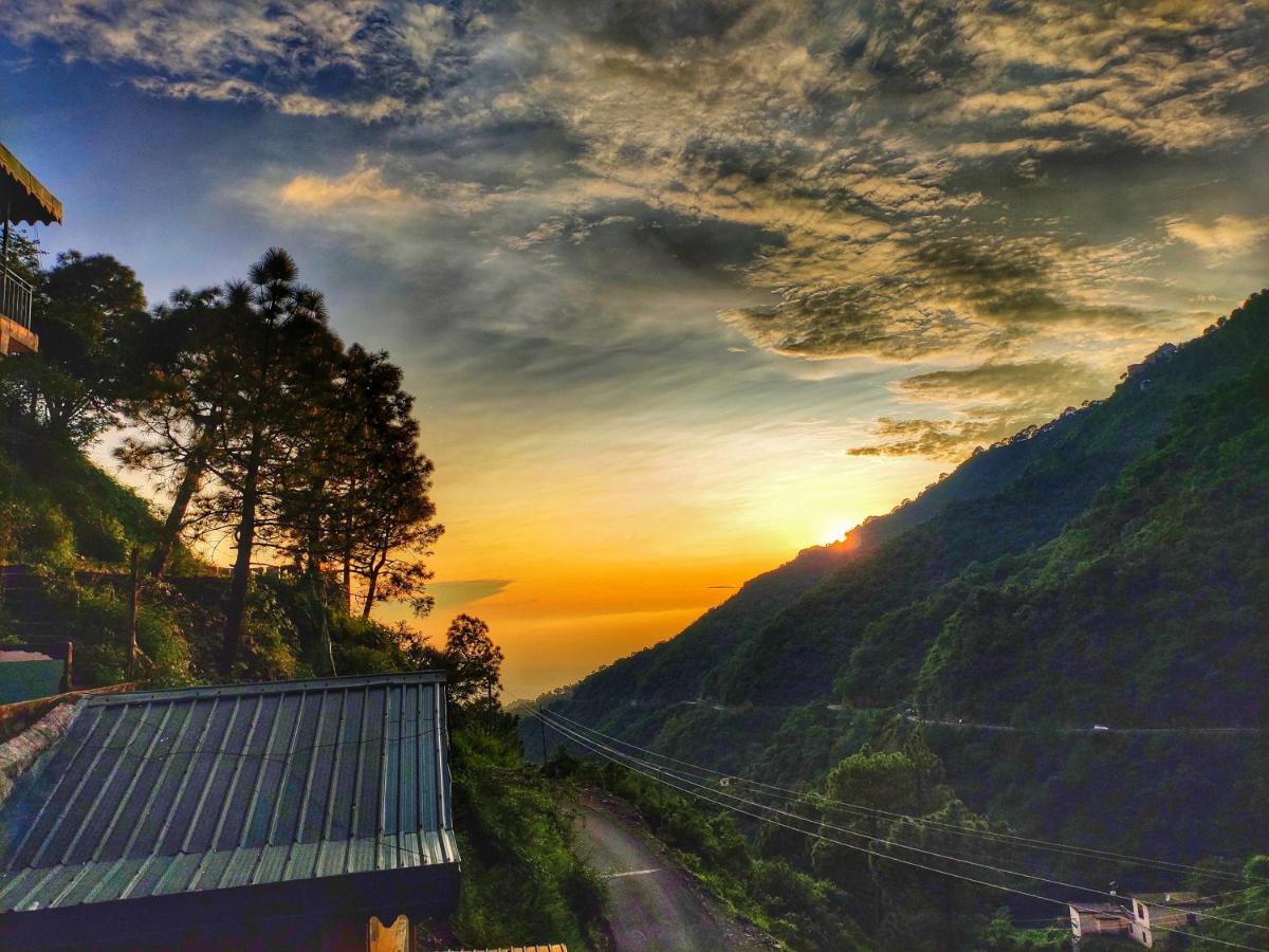 Safarmaina Resort Kasauli Eksteriør billede