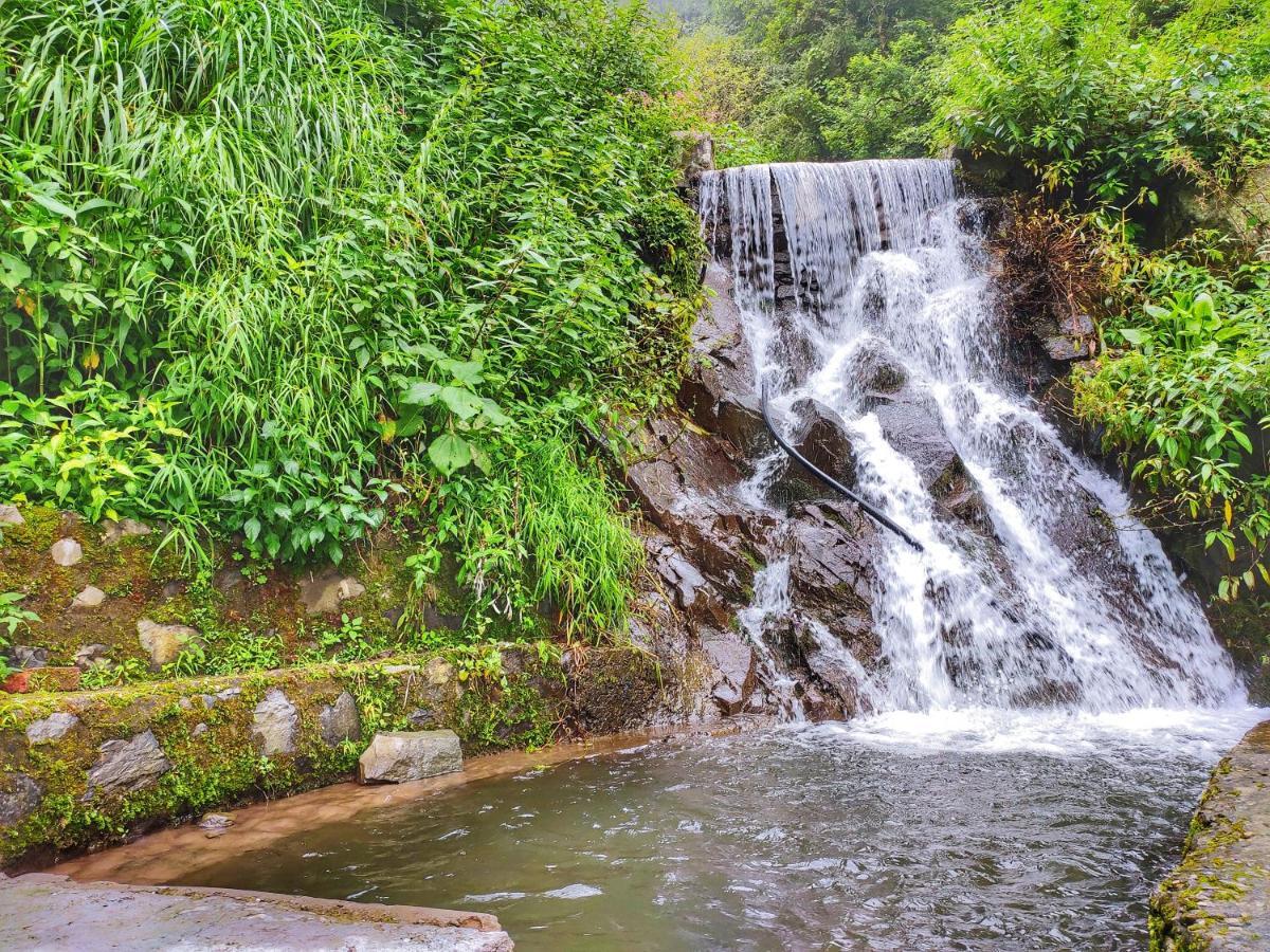 Safarmaina Resort Kasauli Eksteriør billede